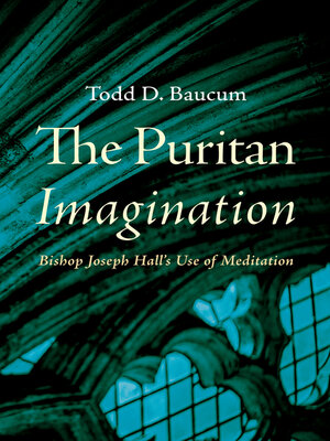 cover image of The Puritan Imagination
